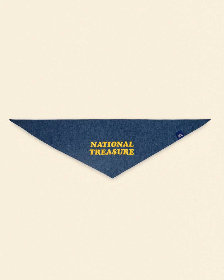 National Treasure Bandana