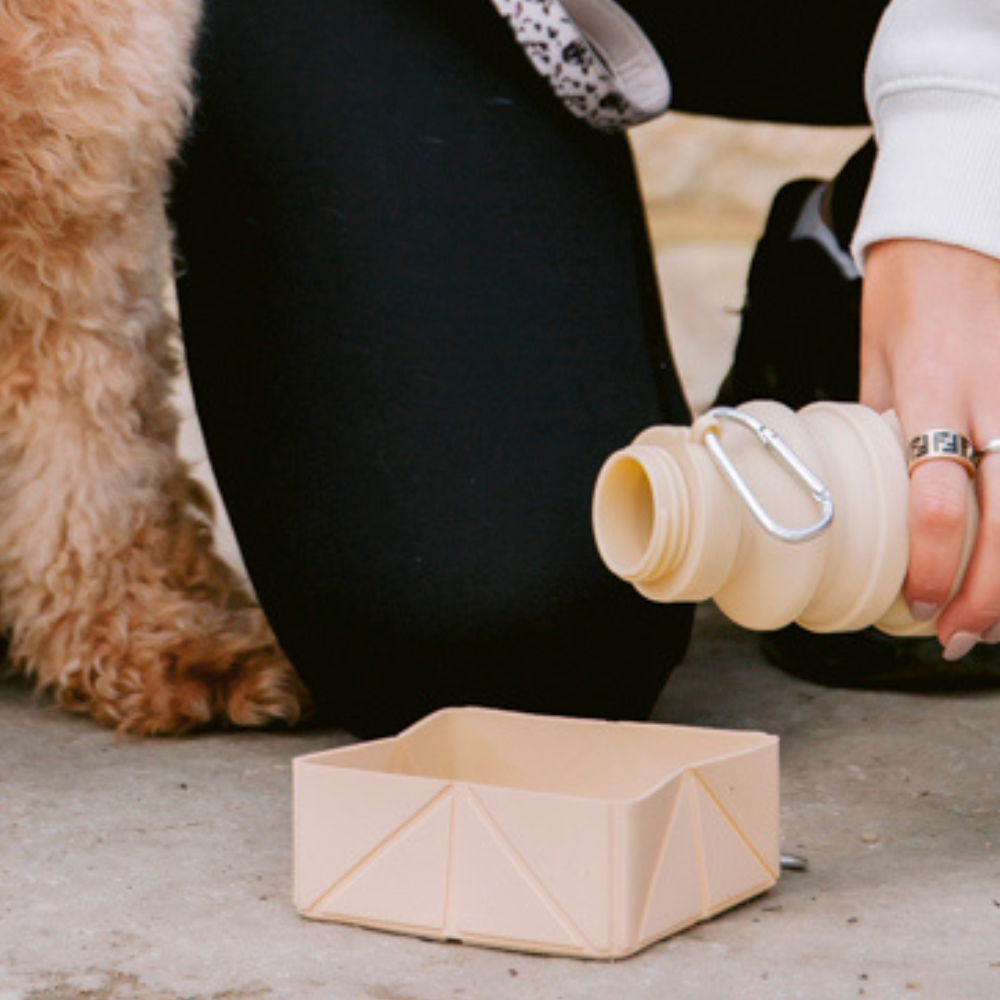 Foldable Travel Bowl - Nude