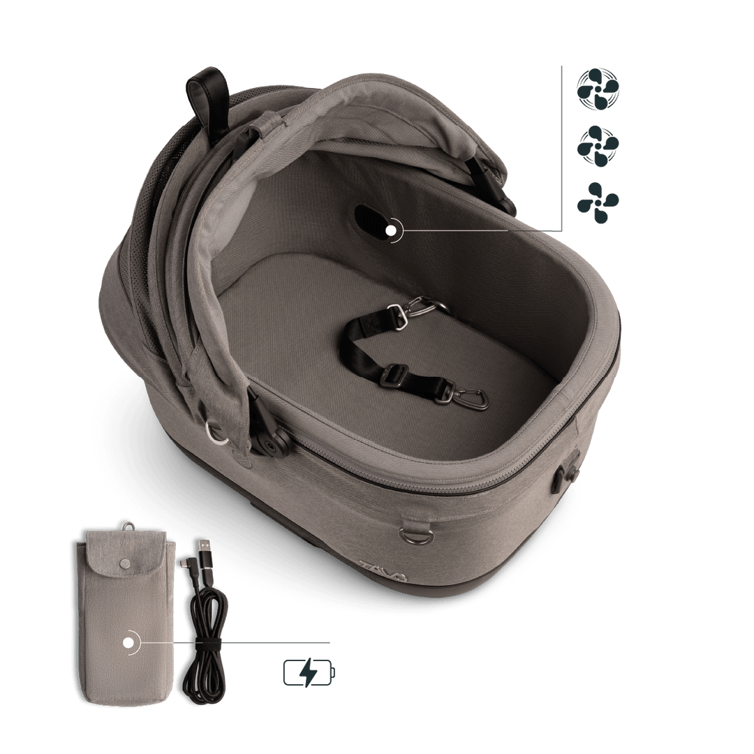 Maeve iso Wind + Roscoe Trek
