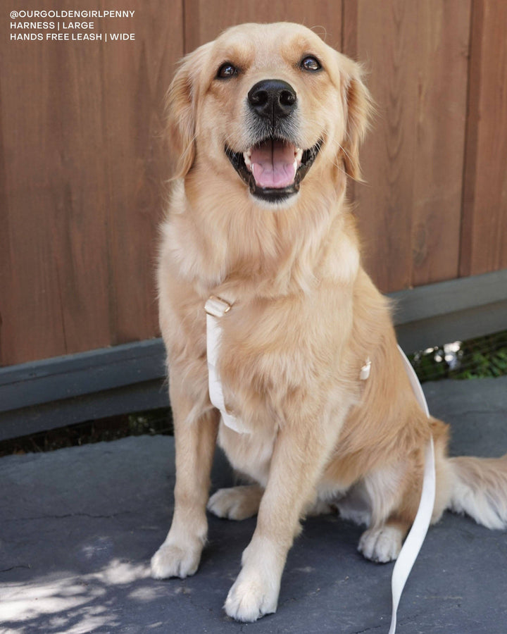 Cloud Lite Harness