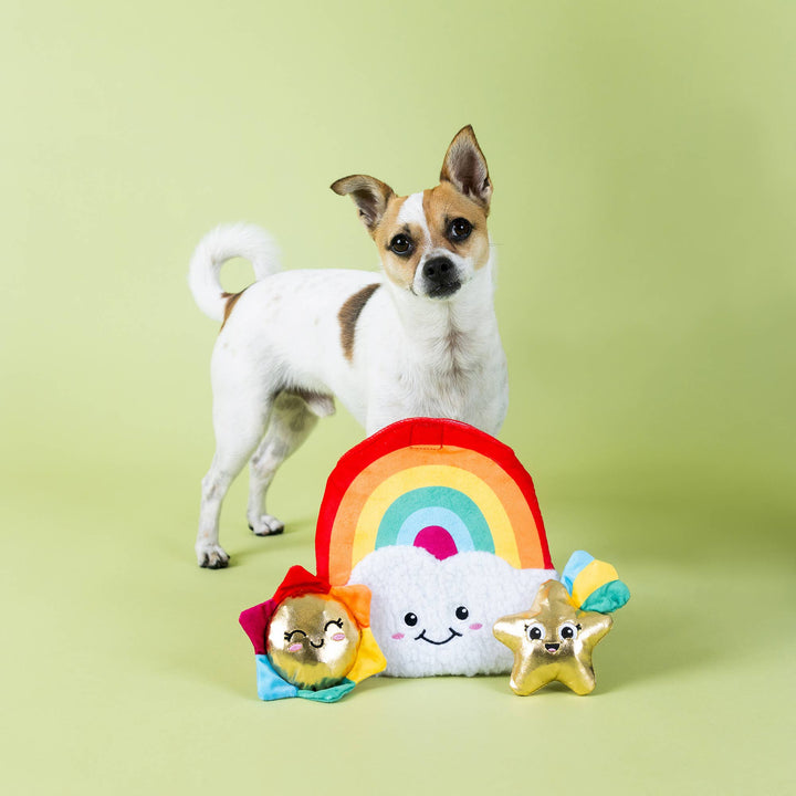 LOOK ON BRIGHT SIDE HIDE & SEEK DOG TOY