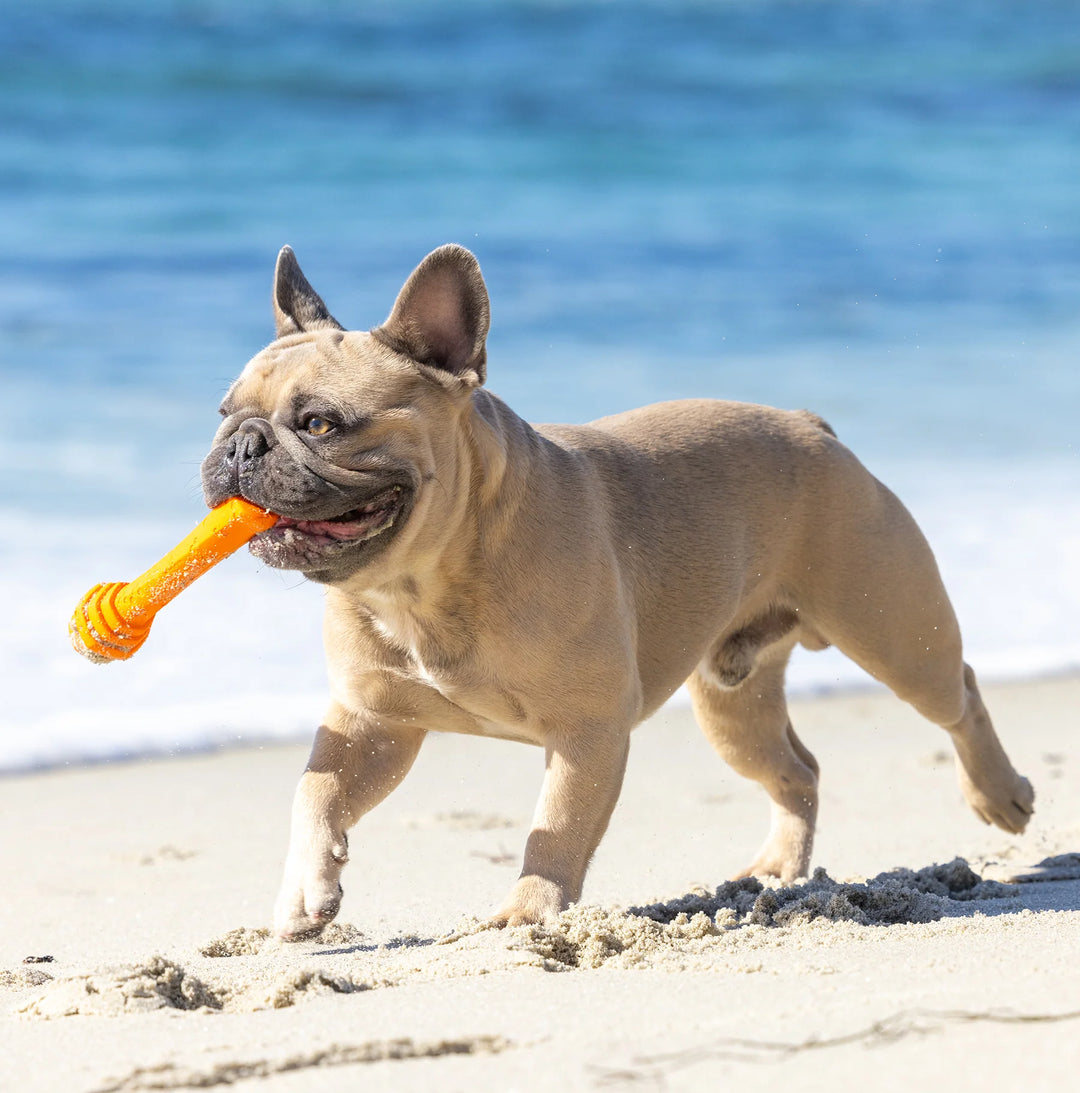 Hive Fetch Stick