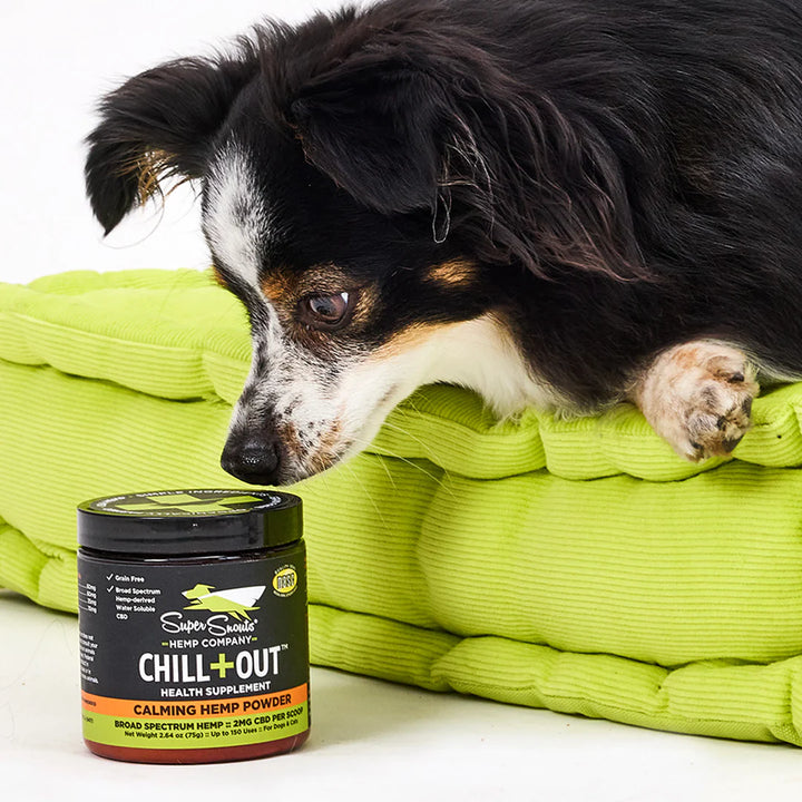 Chill + Out CBD Powder