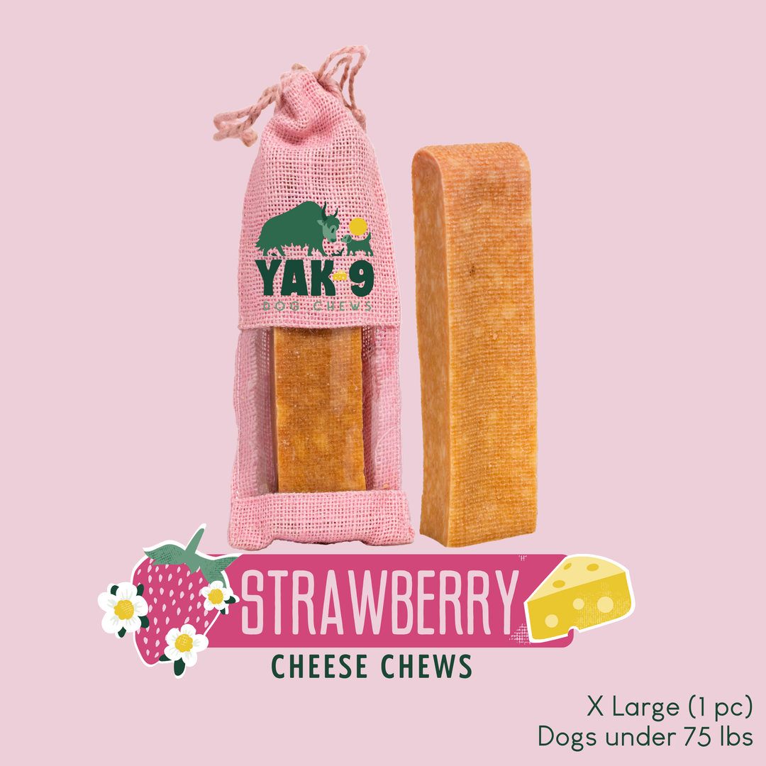Yak Cheese Chew