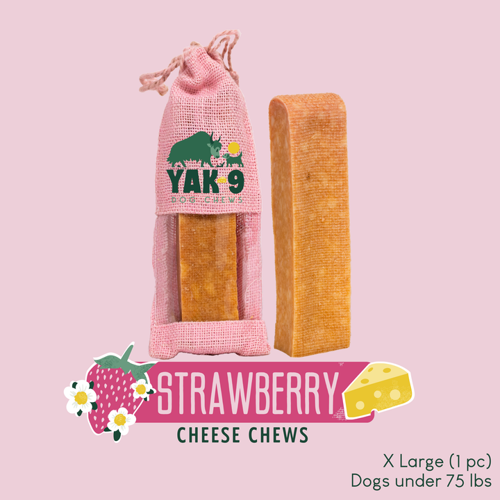 Yak Cheese Chew
