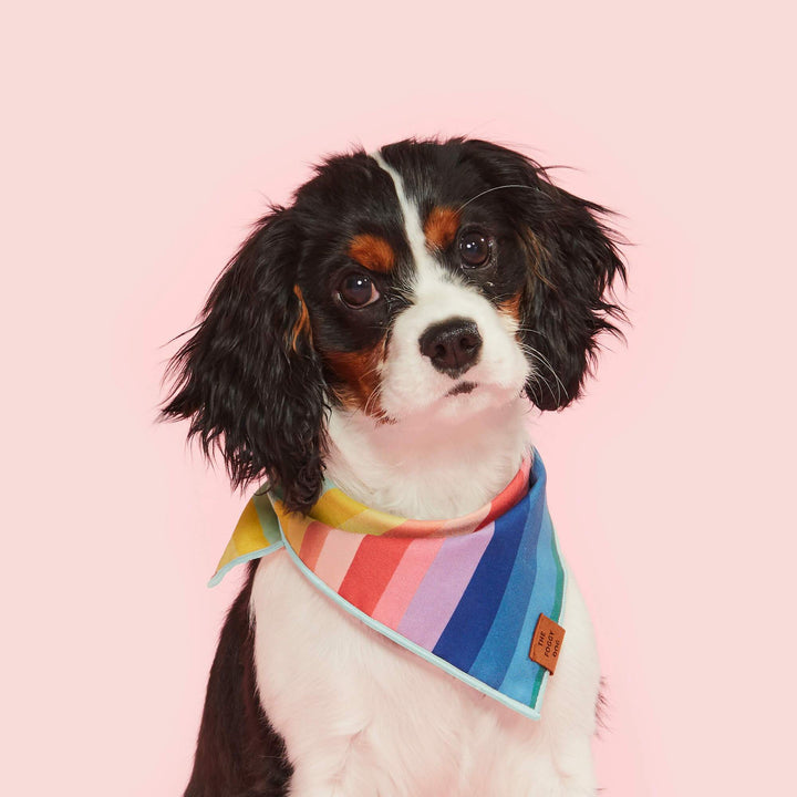 Over the Rainbow Bandana