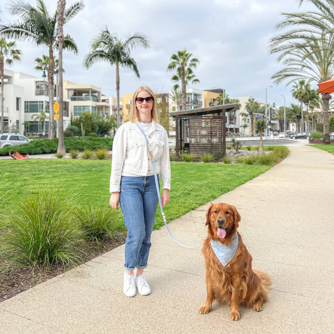 Standard Hands-Free Waterproof Dog Leash