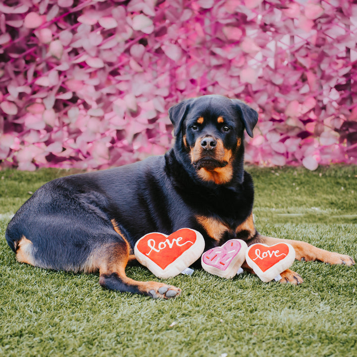 Pink Heart Sugar Cookie Dog Toy