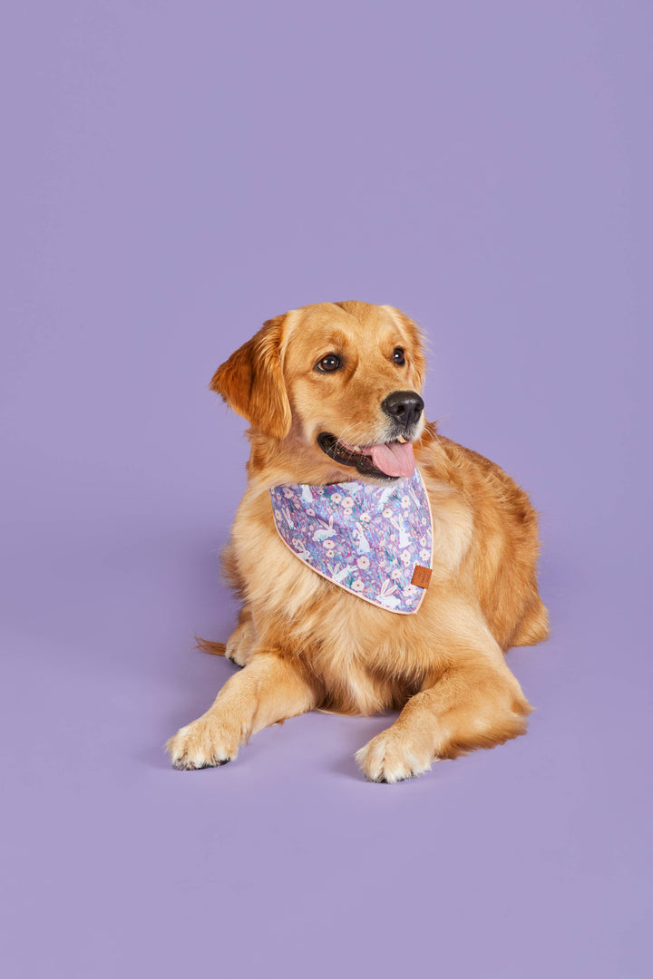 Bunny Meadow Easter Bandana