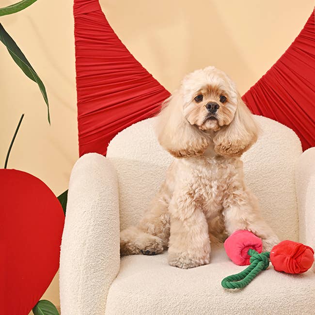 V-Day Rose - Dog Rope Toy