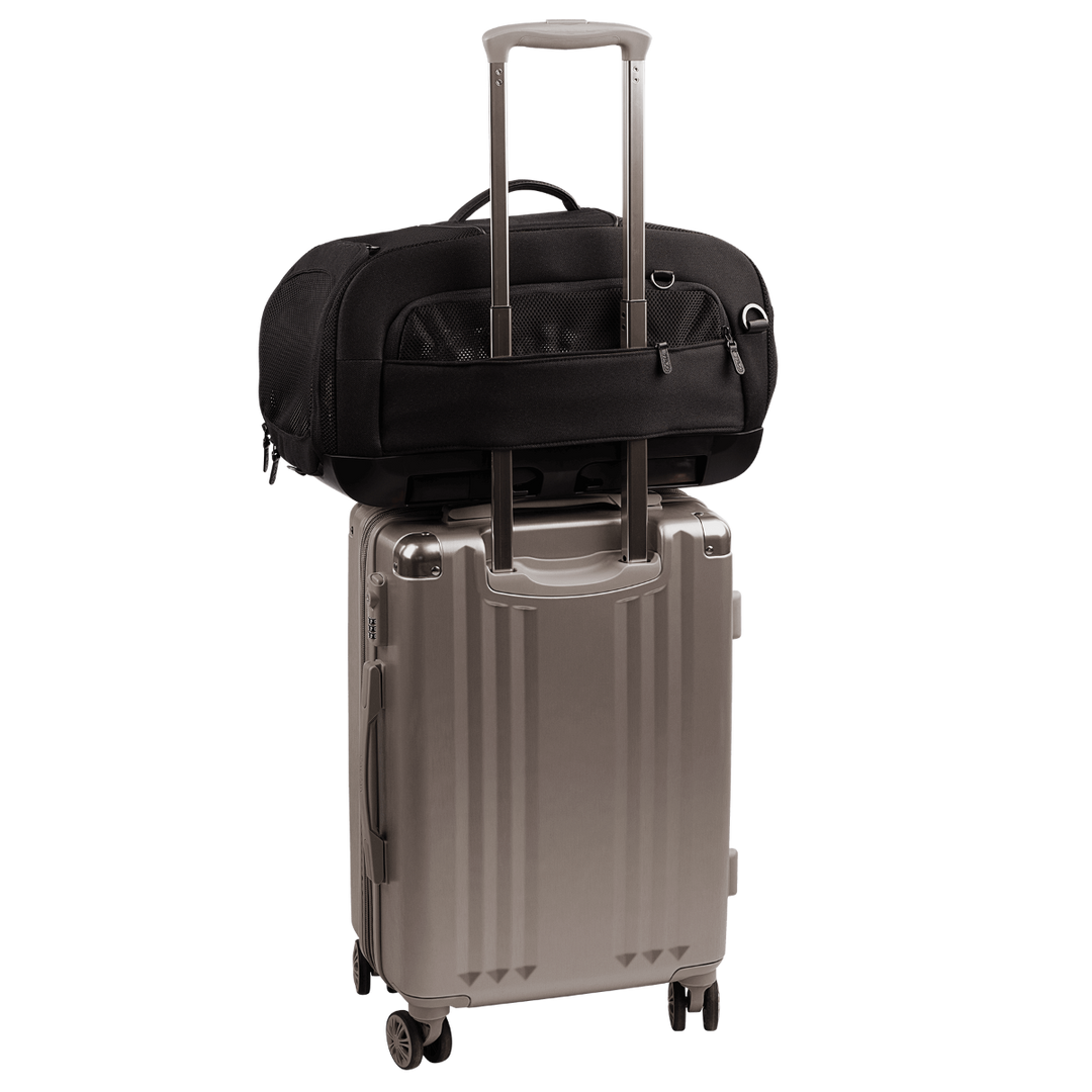 Dupree - Airline Carry-On Car Seat