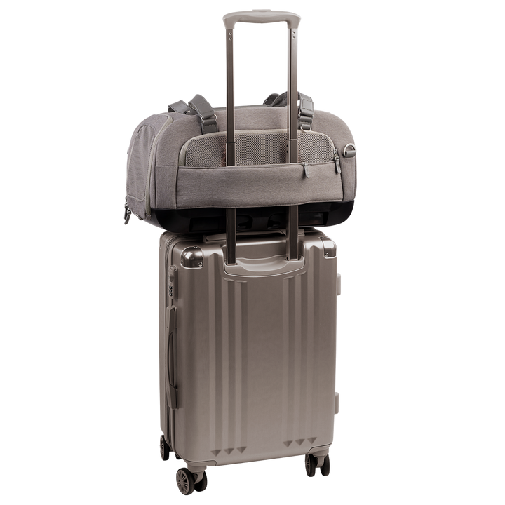Dupree - Airline Carry-On Car Seat