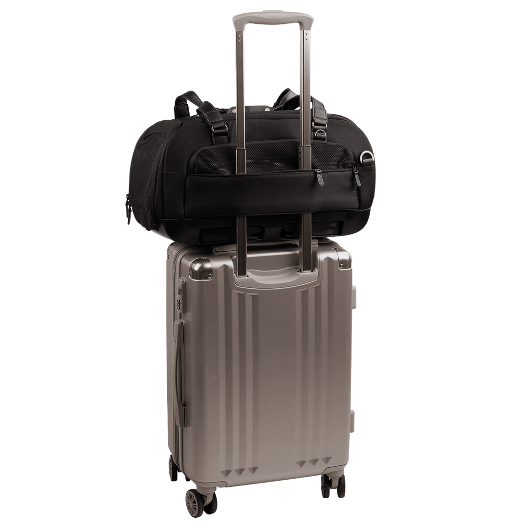 Dupree - Airline Carry-On Car Seat