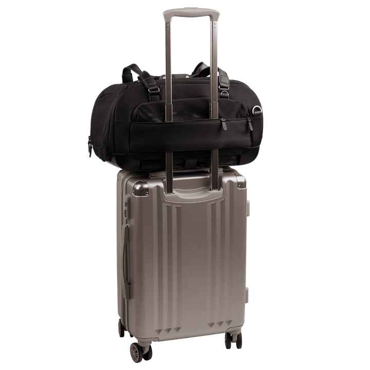 Dupree - Airline Carry-On Car Seat