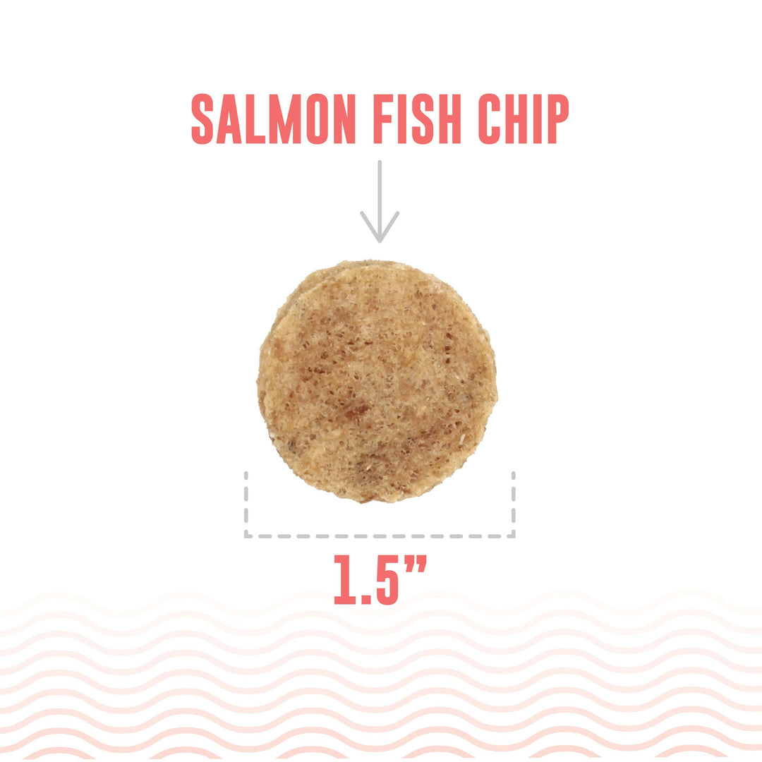 Salmon Fish Chips