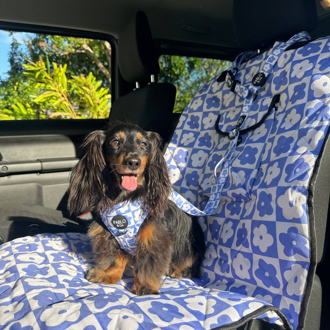 Headrest Car Restraint - Blue Checkered Daisies