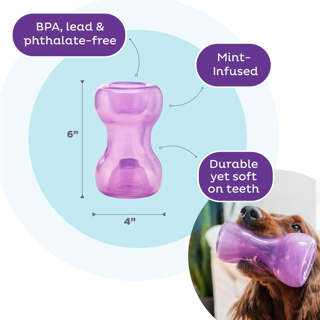 Double Snoop Interactive Treat Stuffer Durable Dog Toy, Purple