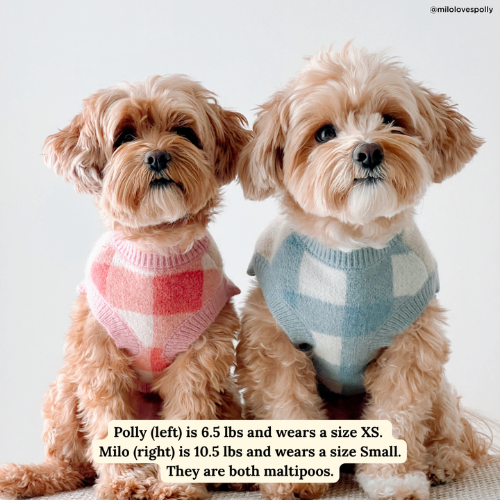 Bowwow Wow! Sweater