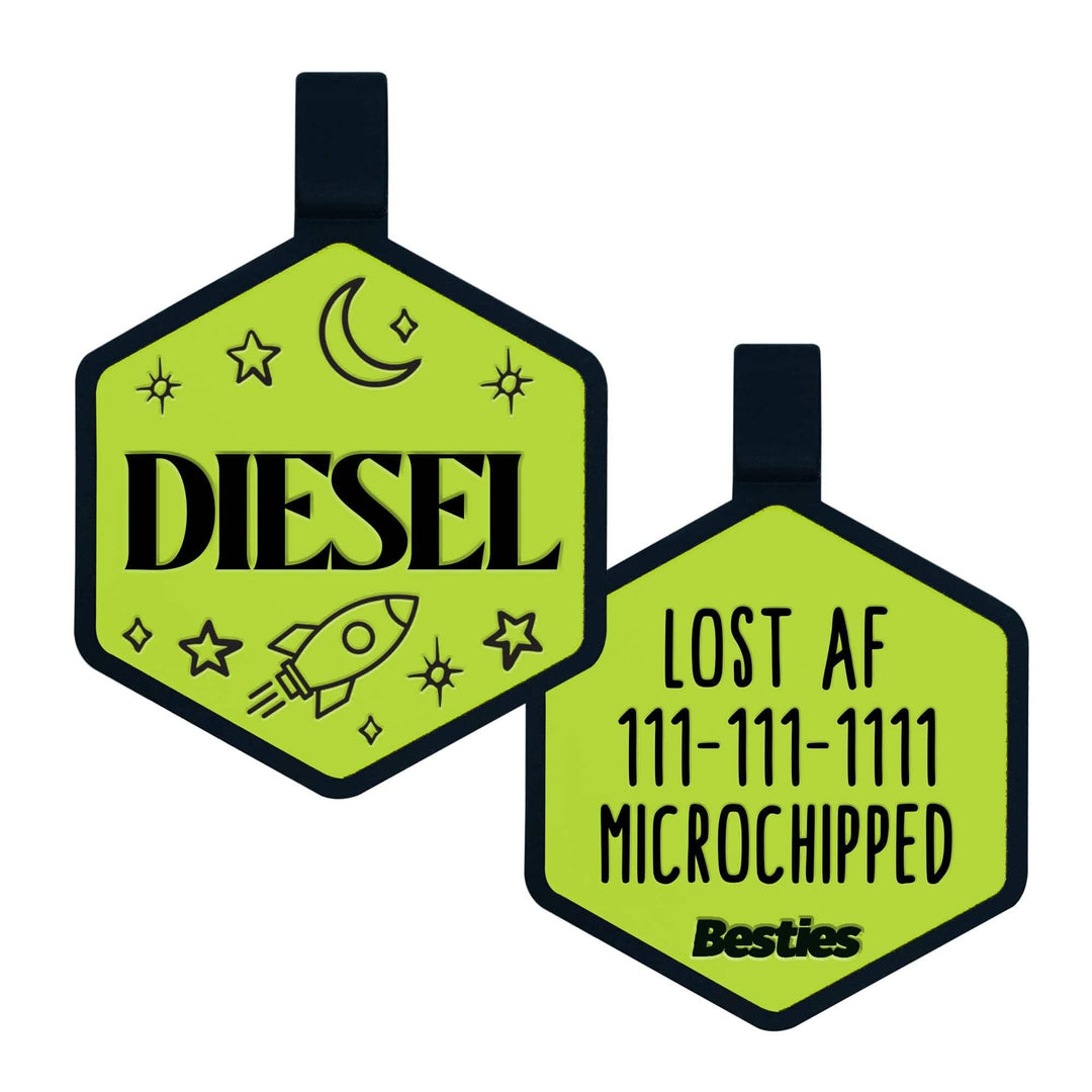 Space Cadet Silicone Dog ID Tag