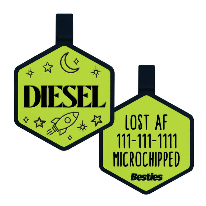 Space Cadet Silicone Dog ID Tag