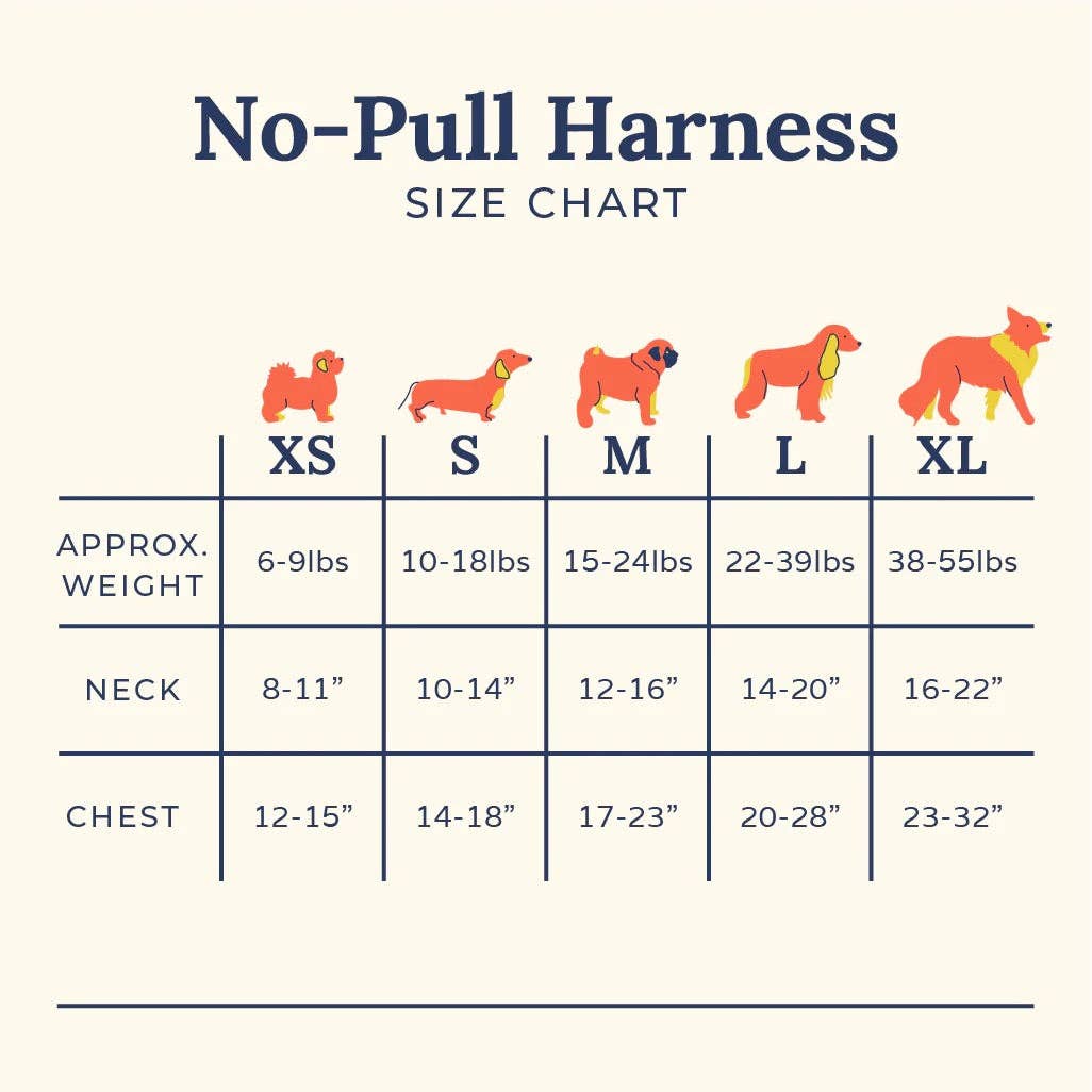 Cute to Boot No-Pull Harness