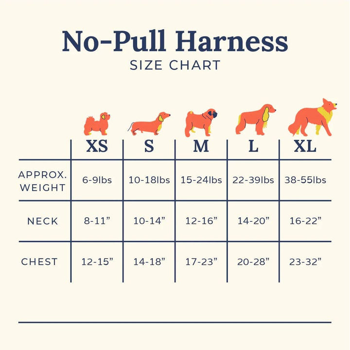 Cute to Boot No-Pull Harness