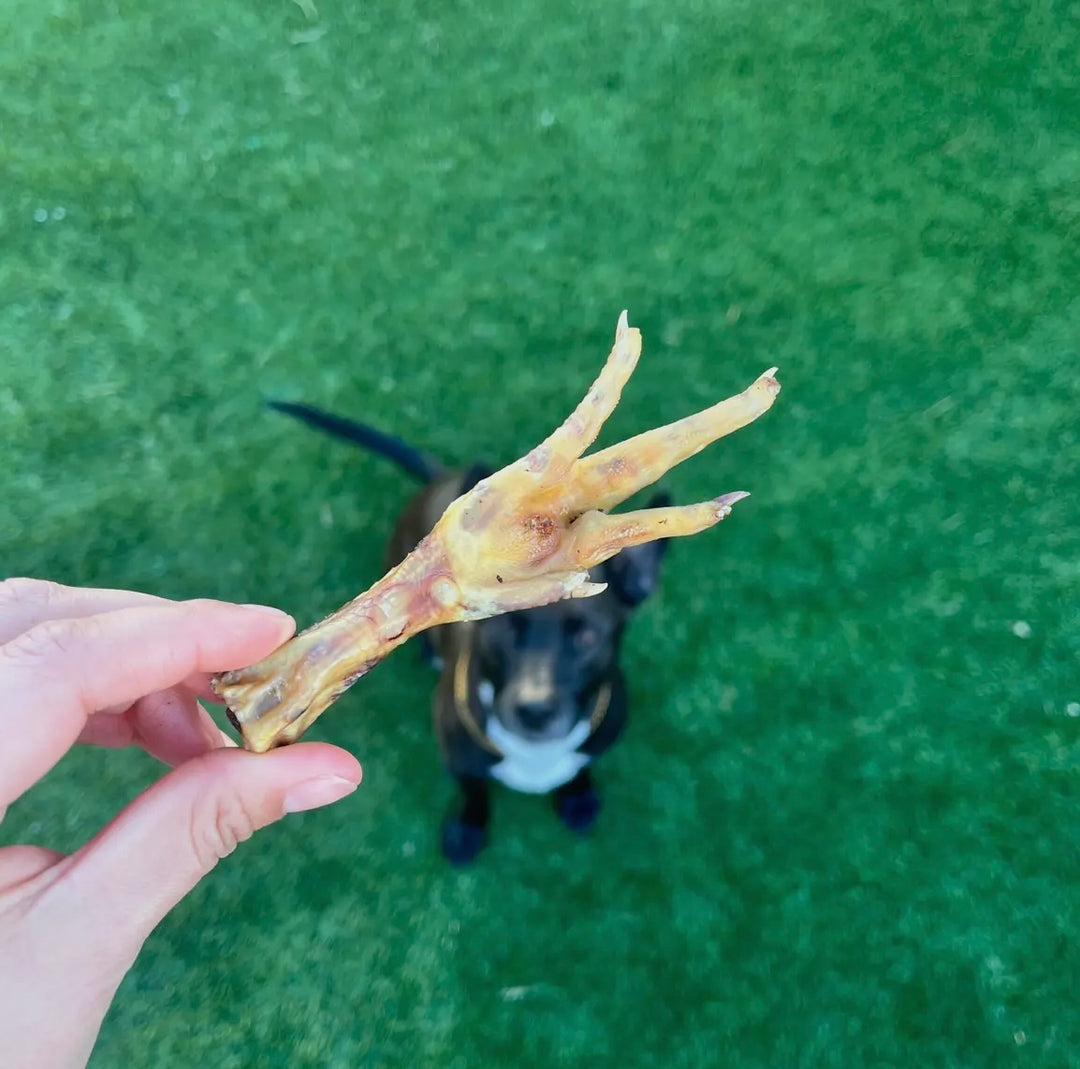 Real.Dog Chicken Feet (pack of 5)