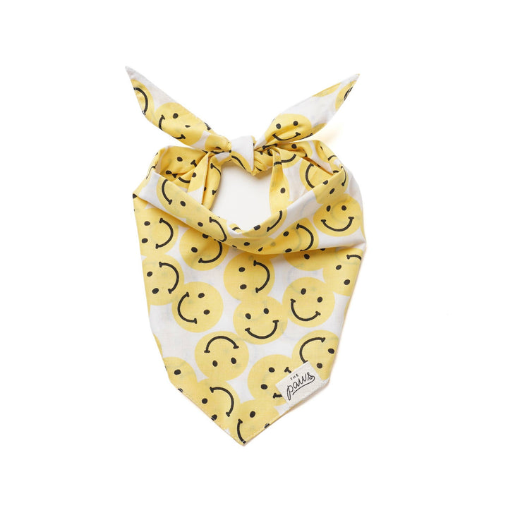 Smile Dog Bandana