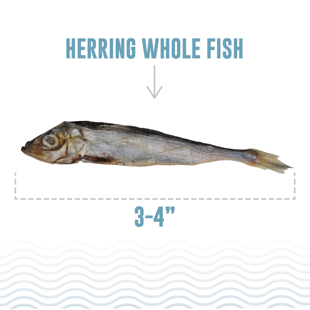 Herring Whole Fish Treats