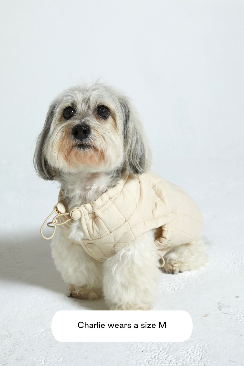 Easy Fit Jacket for Dogs
