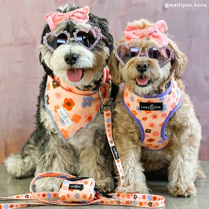 The Let's Groove Bandana