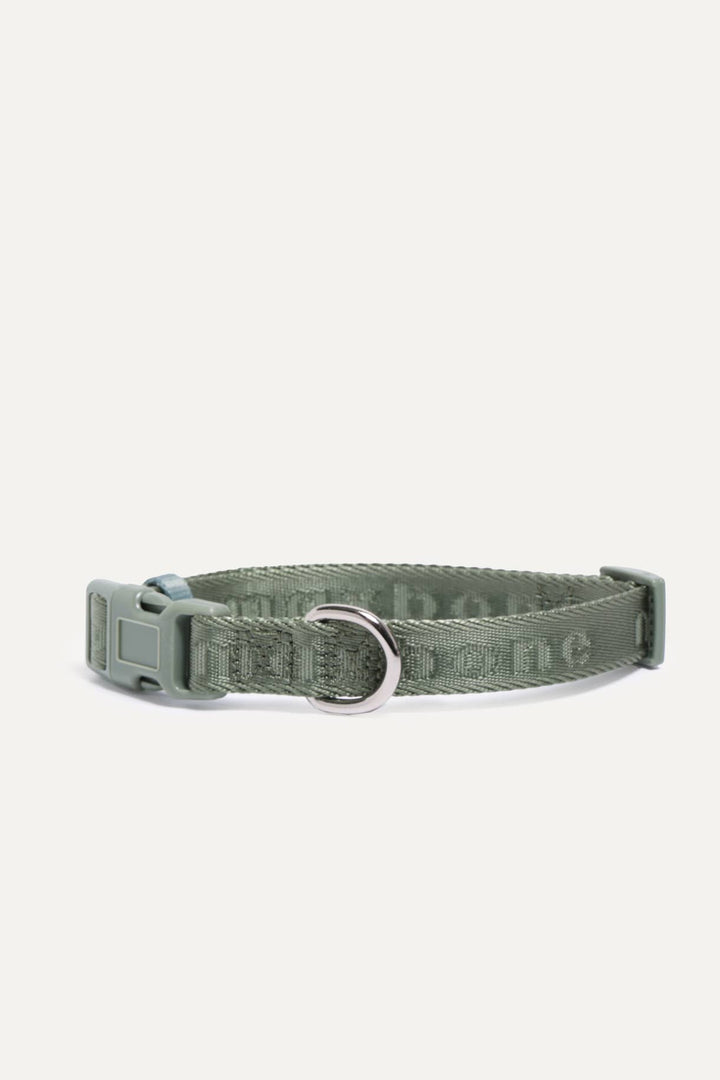 Signature Collar for Dogs