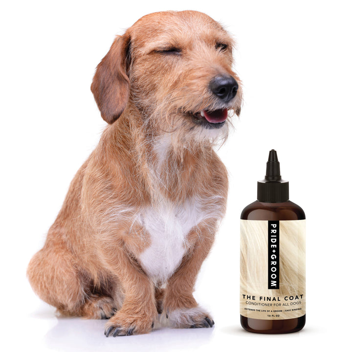 THE FINAL COAT | CONDITIONING PERFECTION FOR EVERY DOG