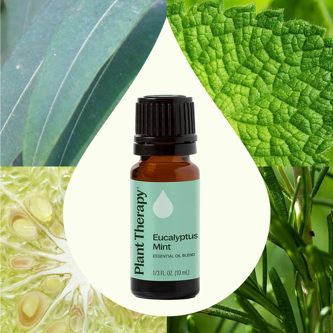 Eucalyptus Mint Essential Oil Blend 10mL