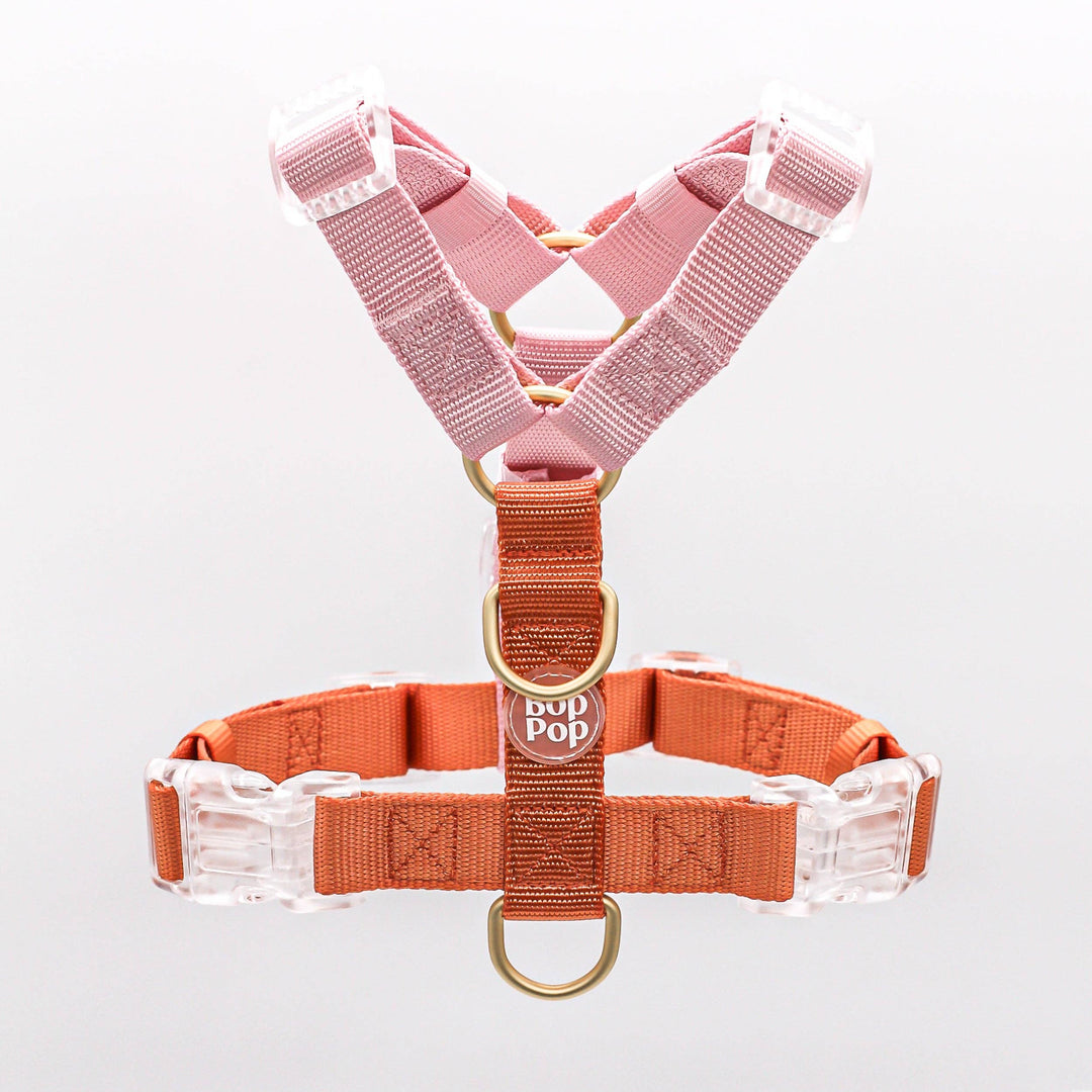 Classic Harness | Cloudberry