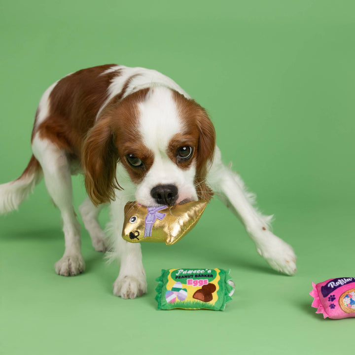 EGGSTRA SWEETS 3PCS SMALL DOG TOY