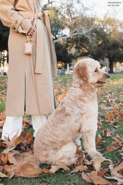 Waterproof Cloud Collar