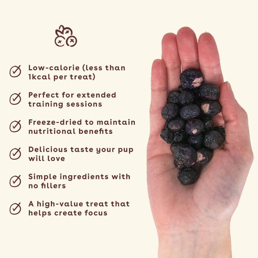 Freeze Dried Blueberry Traning Treats 2oz
