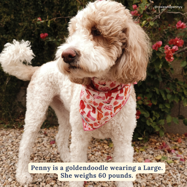 Howdy, Honey Bandana