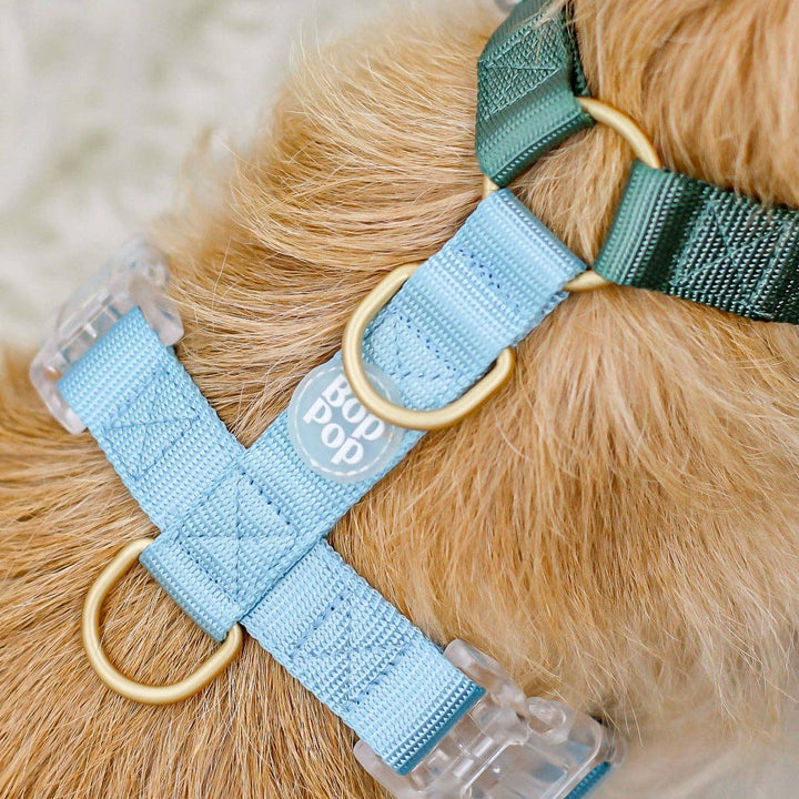 Classic Harness | Hunter Sky