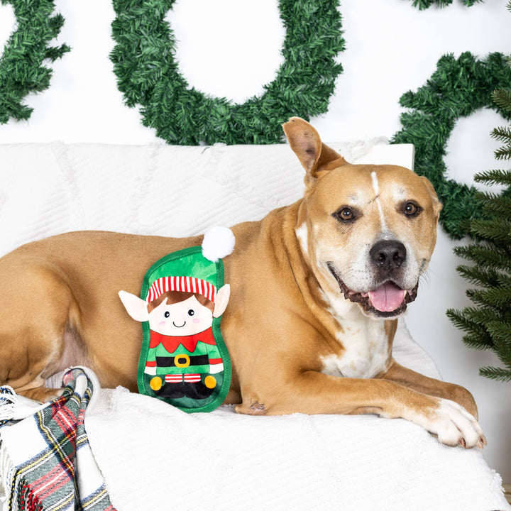 JUST BEING MY-ELF DURABLE PLUSH DOG TOY