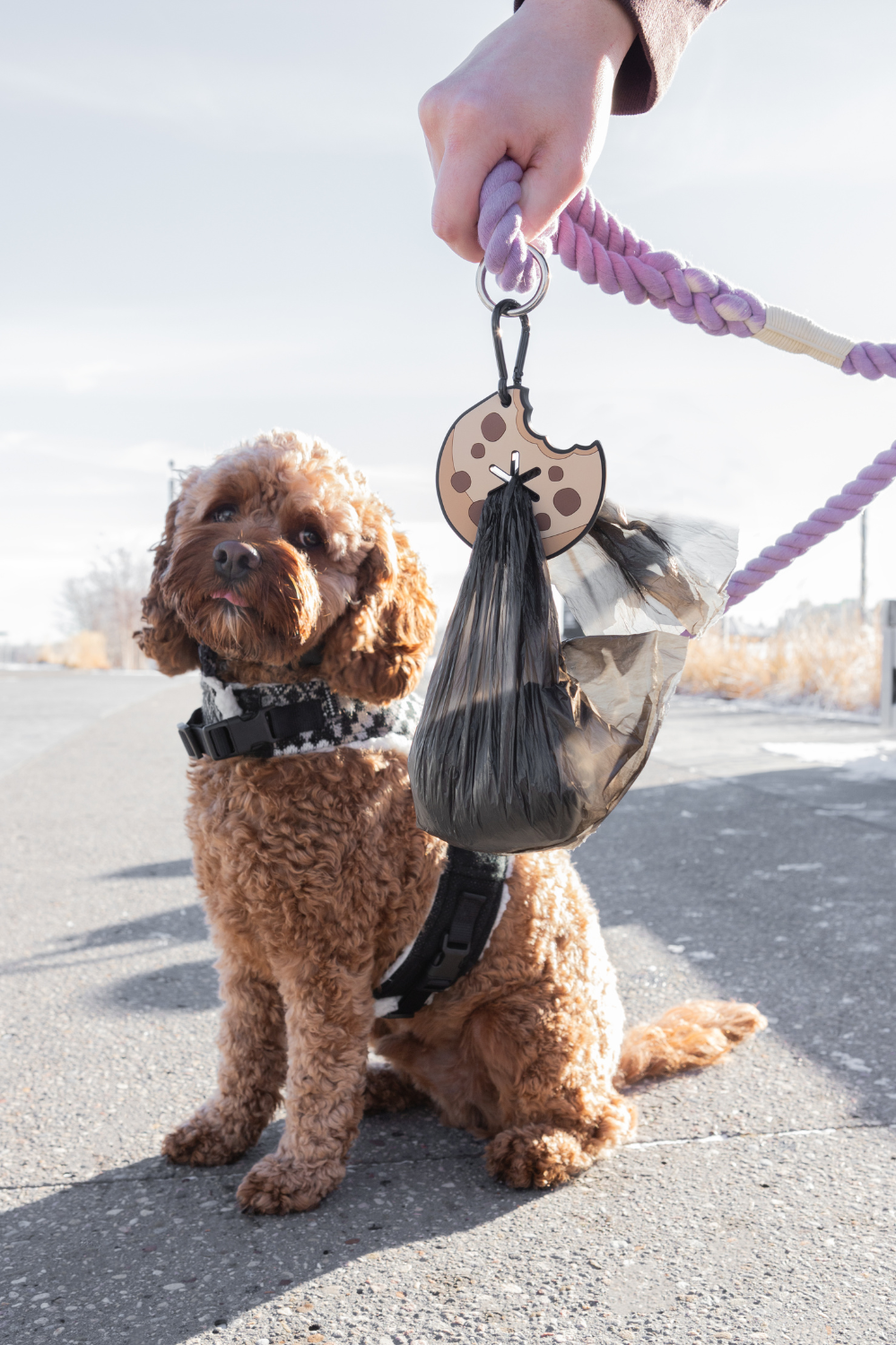 Chocolate Chip Cookie Used Dog Waste Bag Holder