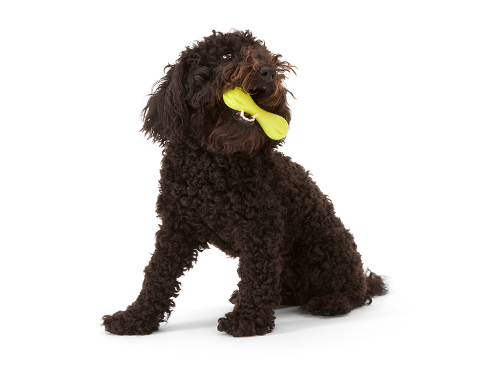 Hurley® Dog Toy for Chew and Fetch