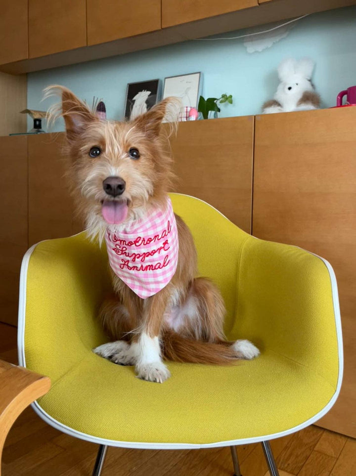 Emotional Support Bandana