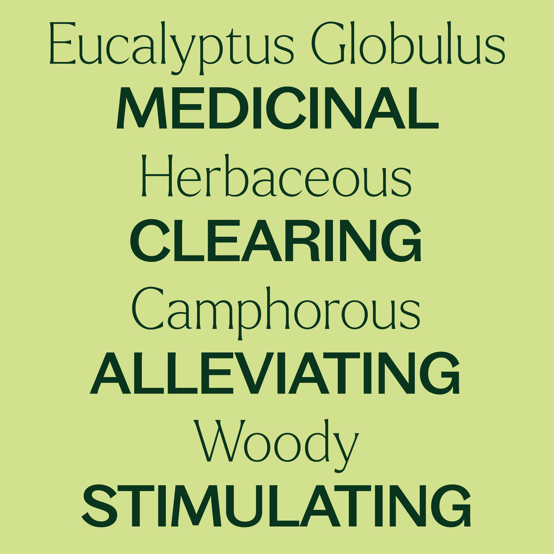Organic Eucalyptus Globulus Essential Oil 100 mL