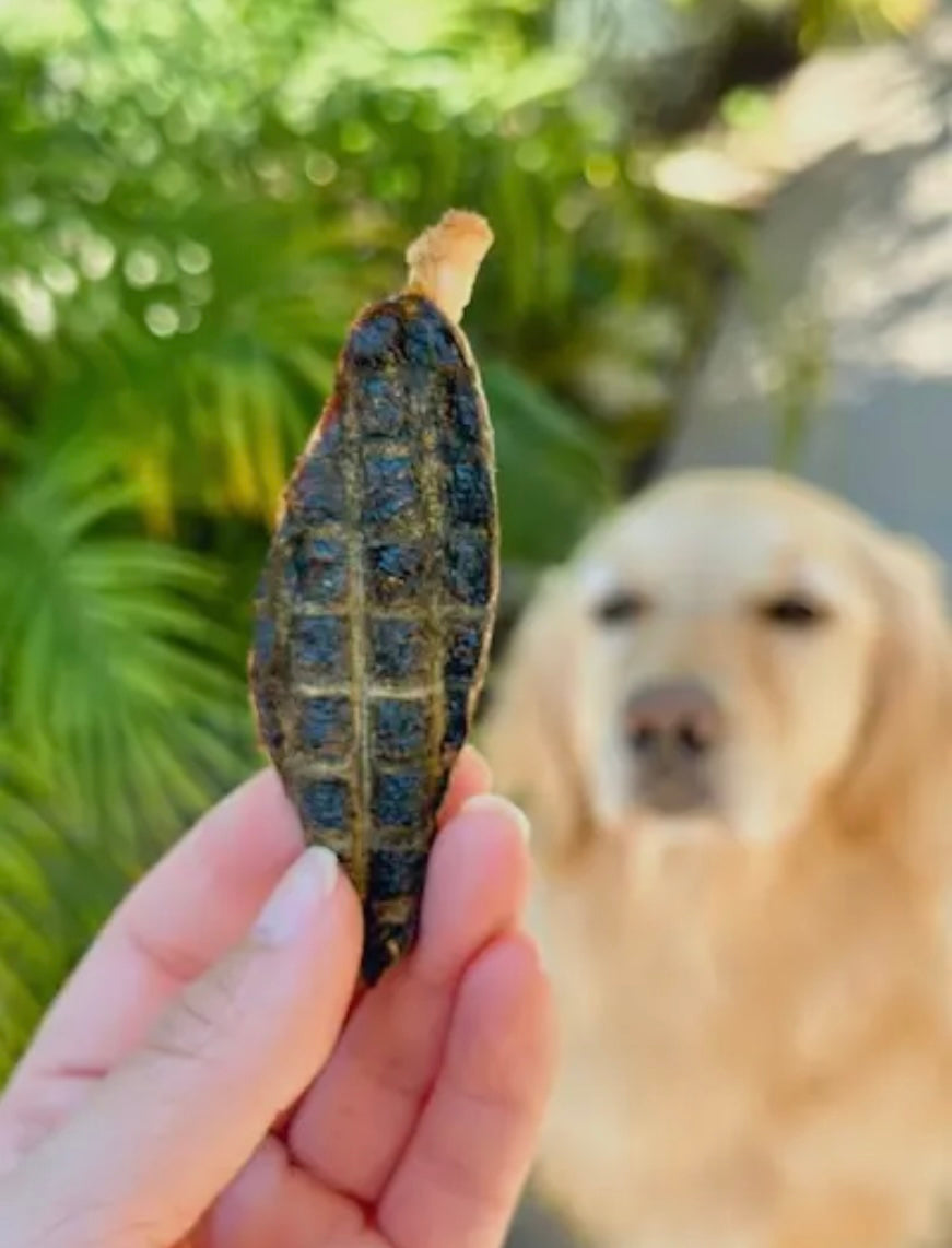 Real.Dog Lamb Spleen