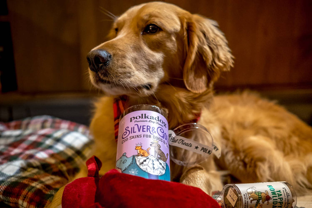 Silver & Gold - Holiday Dog Treats