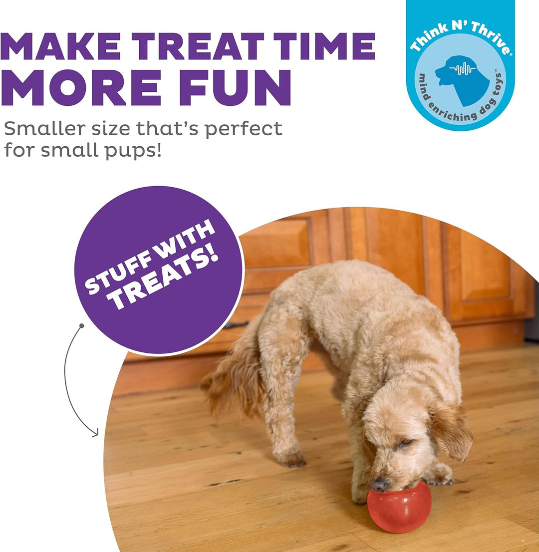 Orbee-Tuff Snoop Interactive Treat Dispensing Toy