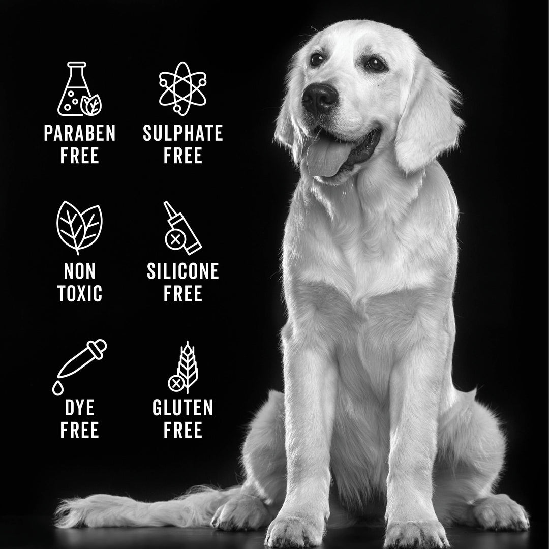 THE SHEDDER | SHAMPOO FOR DOGS WHO SHED