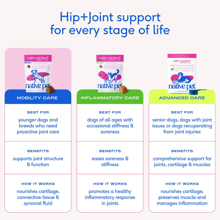 Hip+Joint Mobility Care Chews, Hip & Joint Supplement